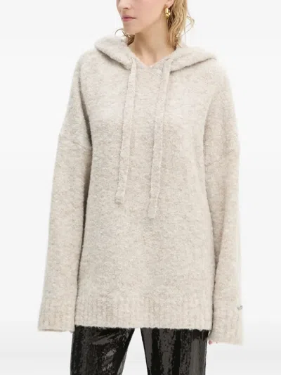 Resume Hooded Sweater In Neutral