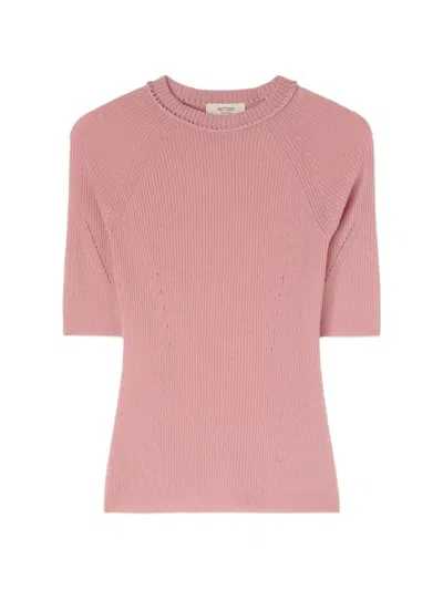 Retori Ribbed-knit Cashmere T-shirt In Pink