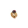 Retro Chic Women's Gold / Red Gladiator Legacy Ring In Multi