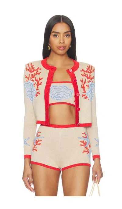 Retroféte Aralyn Knit Cardigan In Multi
