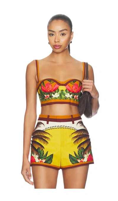 Retroféte Cricket Bustier Top In Multi