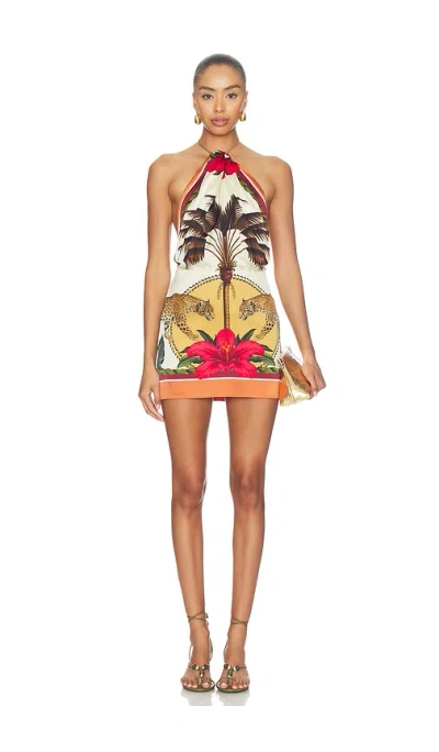 Retroféte Cymbeline Dress In Multi