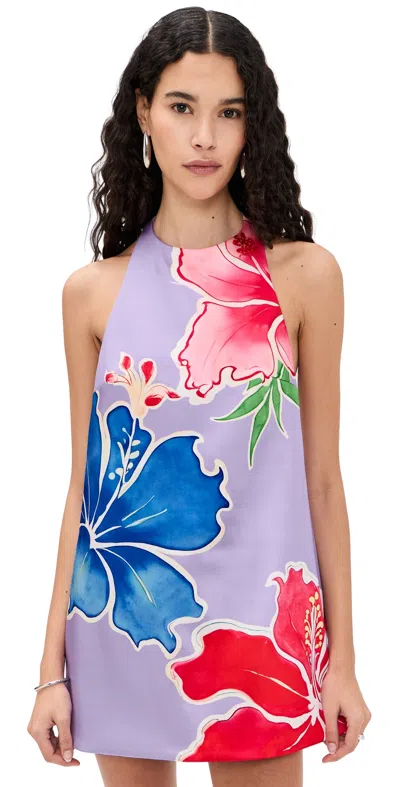 Retroféte Drexley Dress Hibiscus Lavendar In Purple