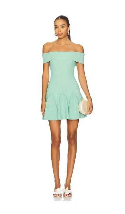 Retroféte Erica Knit Dress In Green