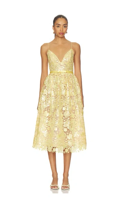 Retroféte Eulalia Lace Dress In Gold