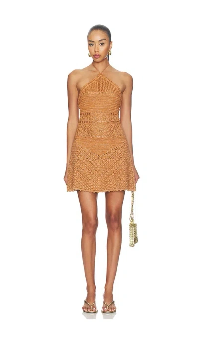 Retroféte Florentina Crochet Dress In Brown