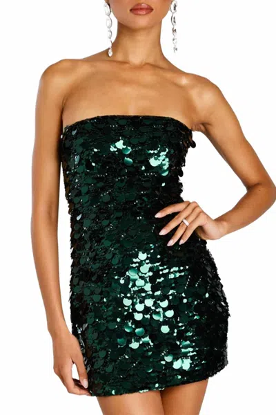 Retroféte Nolia Sequin Embellished Dress In Pine In Silver