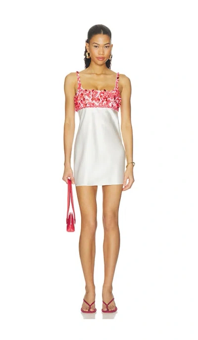 Retroféte Winifred Embroidered Dress