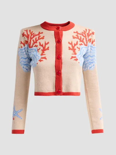 Retroféte Women's Aralyn Coral Seashell Knit Cardigan In Multi