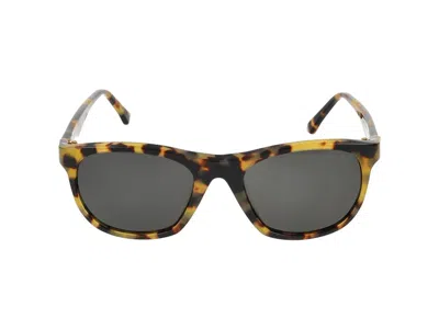 Retrosuperfuture Sunglasses  Gara Sol Leone Havana 52/20/140 In Gray