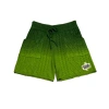 Retrovert Gradient Knitted Shorts In Green