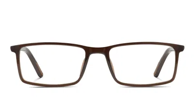 Revel Port Brown
