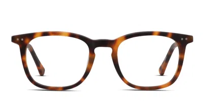 Revel Sidestep Tortoise