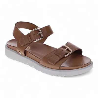 Revere Women's Cyprus Backstrap Sandal In Tan In Multi