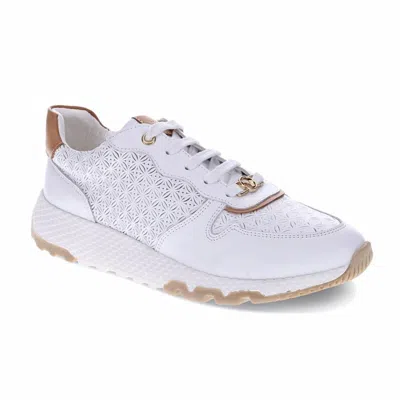 Revere Women's Los Angeles Fancy Walking Sneaker In White/tan