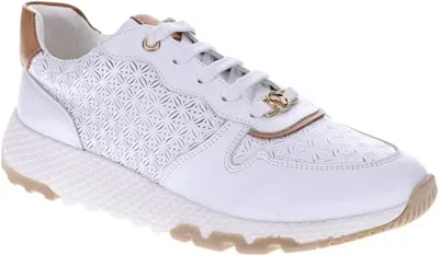 Revere Women's Los Angeles Sneaker - Wide In White/tan