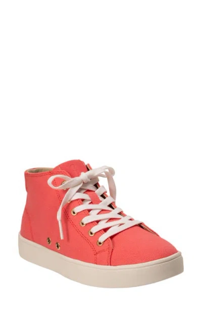 Revitalign Emery High Top Sneaker In Multi