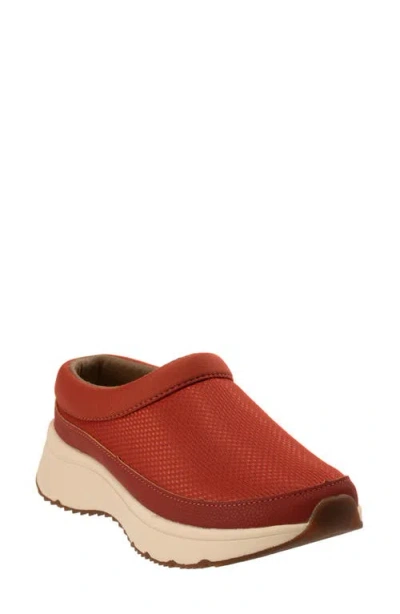 Revitalign Kylie Slip-on Sneaker In Multi