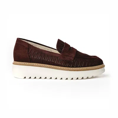 Rex Shoes Women's Brown Lauren Loafer - Medoc Suede