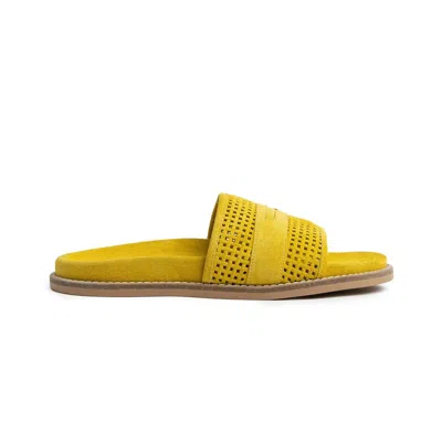 Rex Shoes Women's Jan Slide In Saffron In Yellow