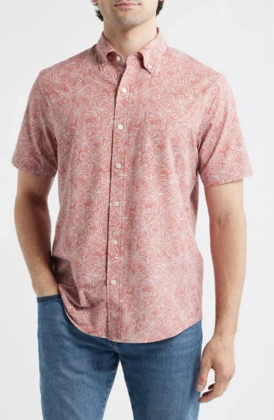 Reyn Spooner Mala Melia Short Sleeve Button-down Sport Shirt In Brown