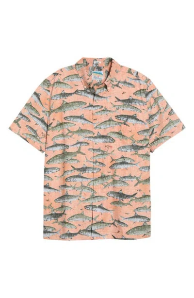Reyn Spooner Oio By Naoki Button-down Shirt In Multi