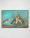 Rfa Fine Art Least Bittern Wall Art In Blue