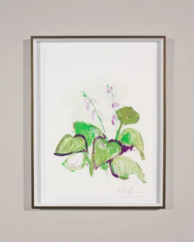 Rfa Fine Art White Glove Series - Hosta Art Print By Robert Robinson In Multi