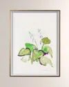 RFA FINE ART WHITE GLOVE SERIES - HOSTA ART PRINT BY ROBERT ROBINSON