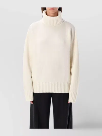 Rhea Costa Cozy Ribbed Turtleneck Sweater Design In White