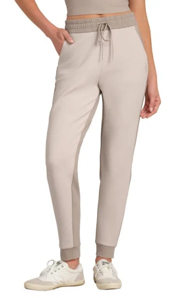 Rhone Dreamglow Colorblock Joggers In Neutral