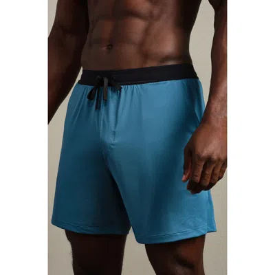 Rhone Endure 6-inch Lined Training Shorts In Blue