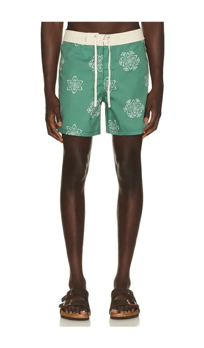 Rhythm Doily Heritage Trunk In Green