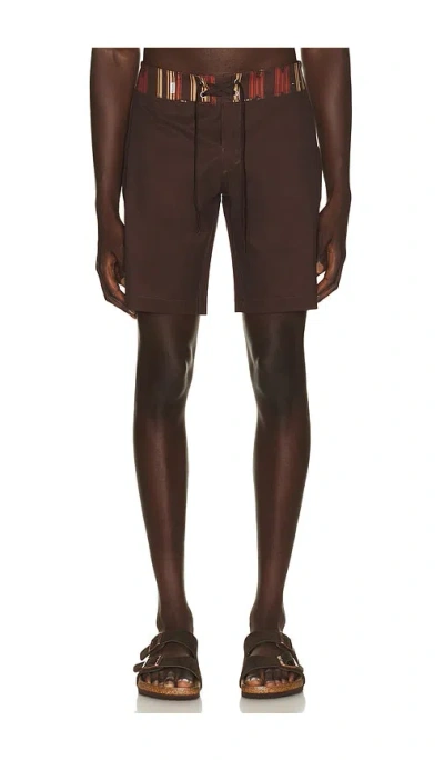 Rhythm Propagate Trunk In Brown