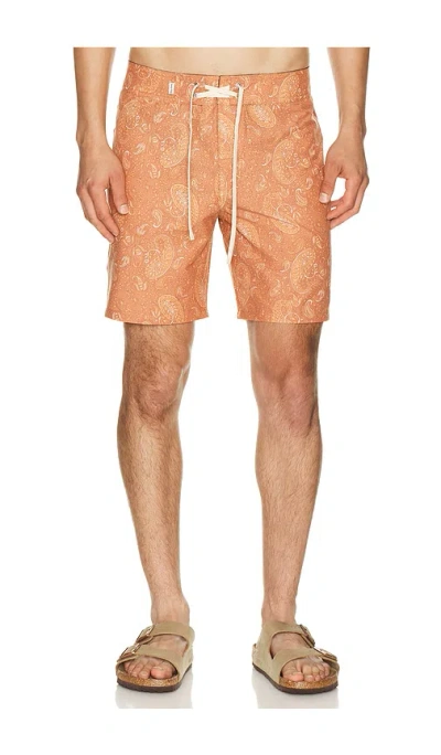 Rhythm Tally Paisley Swim Trunk In Brown