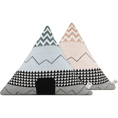 Rian Tricot Triangle Pillow In Multi