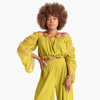Richantee Off Shoulder Pleated Top In Brown