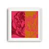 Richard Allan London Pink / Purple / Yellow Pink Aster Art Print