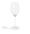 Richard Brendon Set Of 2 Champagne Glasses In Transparent