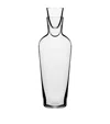 Richard Brendon X Jancis Robinson Old Wine Decanter In Clear