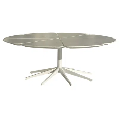 Pre-owned Richard Schultz For Knoll White Polyurethane Petal Coffee/ Cocktail Table