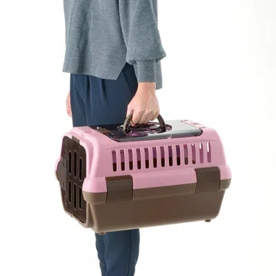 Richell Double Door Pet Carrier In Pink,brown