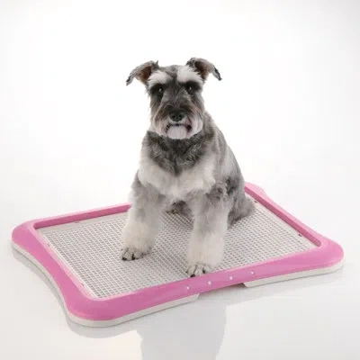 Richell Mesh Training Tray In Pink