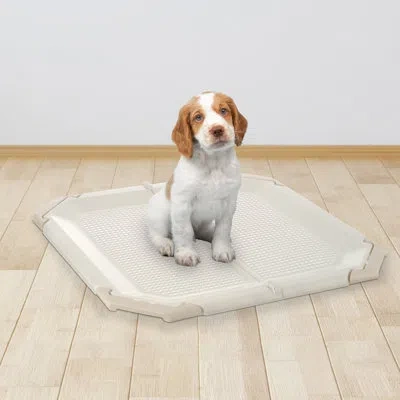 Richell Paw Trex Mesh Potty Pad Holder In Beige,ivory