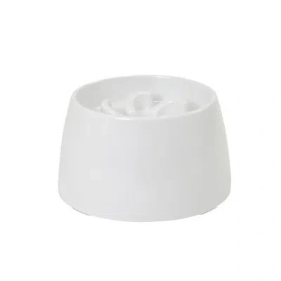 Richell Raised Slow Feeder Bowl In White