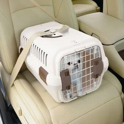 Richell Travel Pet Carrier In White,brown