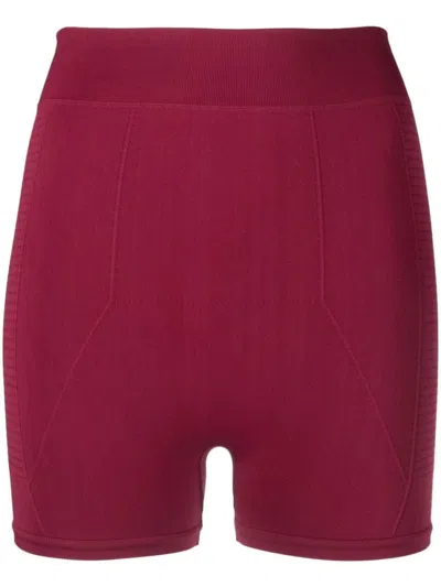 RICK OWENS DARK PINK DARK PINK BLACK HIGH WAIST KNITTED SHORTS
