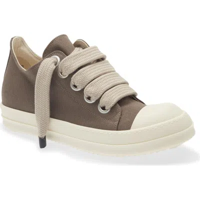 Rick Owens Drkshdw Jumbo Lace Low Top Sneaker In Brown
