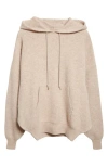 Rick Owens Hun Alpaca & Wool Blend Sweater Hoodie In Brown