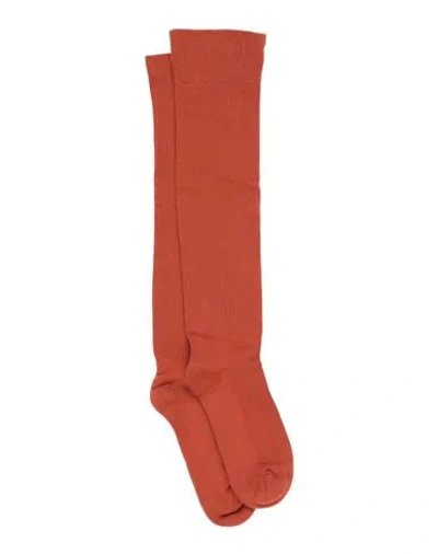Rick Owens Man Socks & Hosiery Rust Size 6-8 Cotton, Polyamide, Elastane In Orange